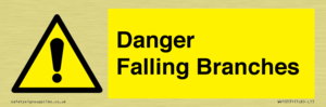 Danger Falling Branches